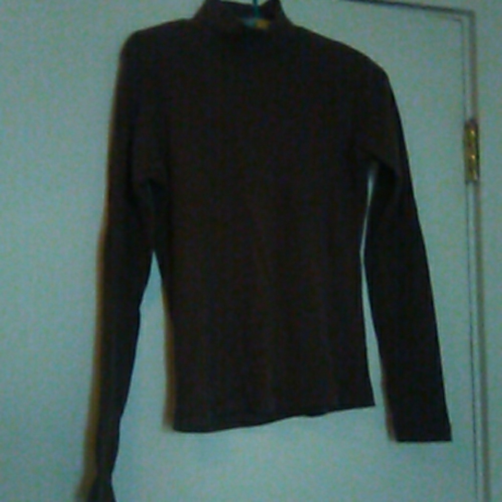 Brown knit turtle neck